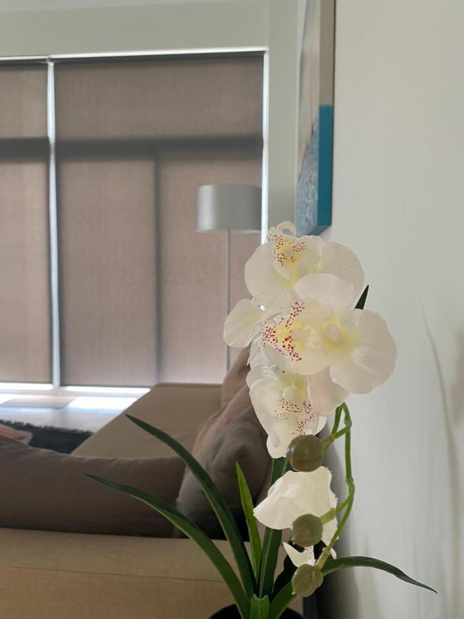 Spacious Beach House Theologos 外观 照片